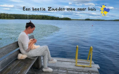 Een beetje Zweden mee naar huis
